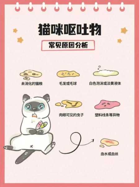 猫咪为什么厌食及猫咪呕吐（猫咪为什么会得厌食症）