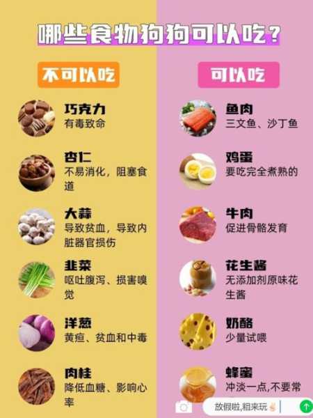 三月幼犬饮食（3个月幼犬吃什么食物最好）