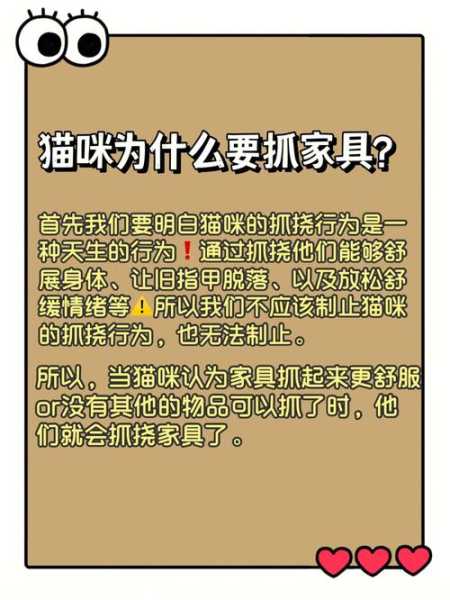 如何解决猫咪抓破家具（如何解决猫咪抓破家具的问题）