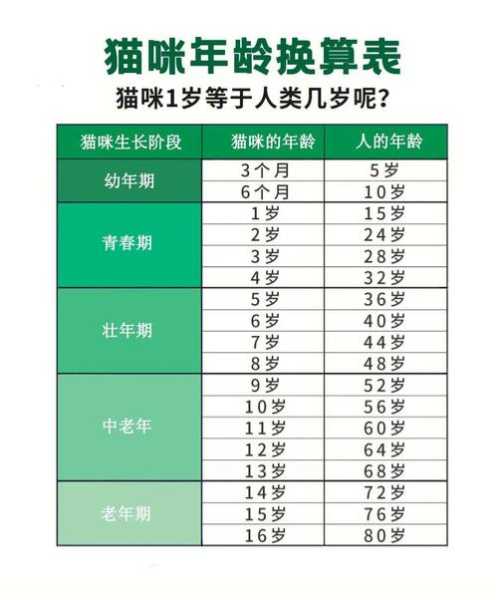 猫猫的平均寿命（猫猫的平均寿命是多少岁）