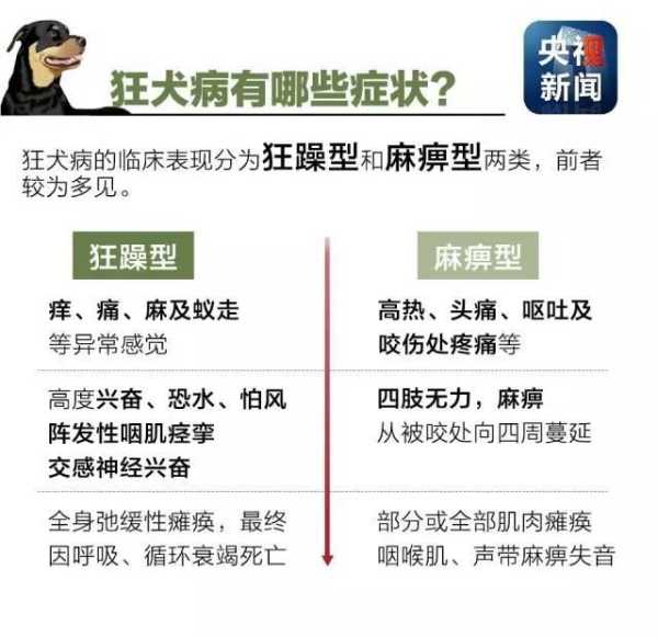 狂犬病什么意思?（狂犬病是啥呀）