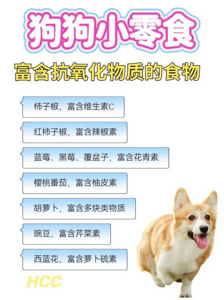 狗狗能吃甜的吗?（狗狗能吃甜的吗有营养吗）