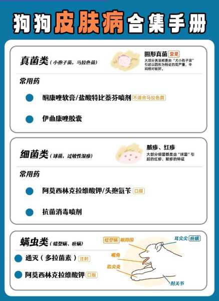 狗狗长螨虫的症状及防治（狗狗长螨虫了怎么办）