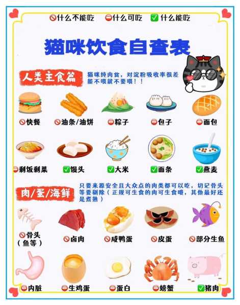 幼猫的饮食应该注意什么（幼猫饮食建议）