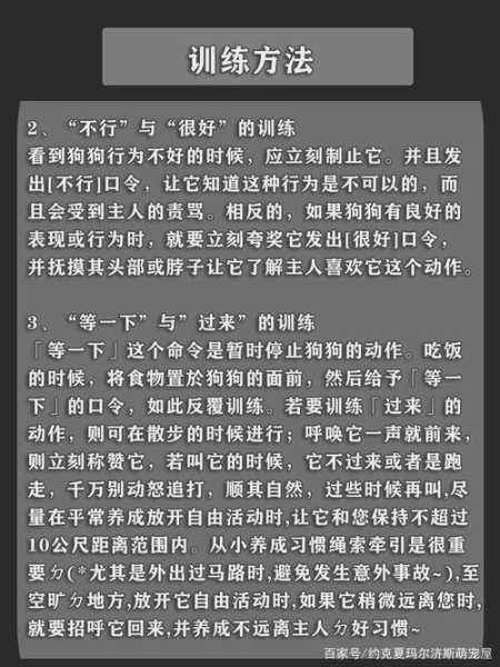 如何训练狗狗捡东西回来（如何训练狗狗捡东西回来的方法）