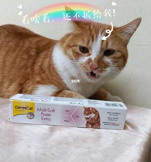 猫喂化毛膏多久见效（猫喂化毛膏多久见效果）