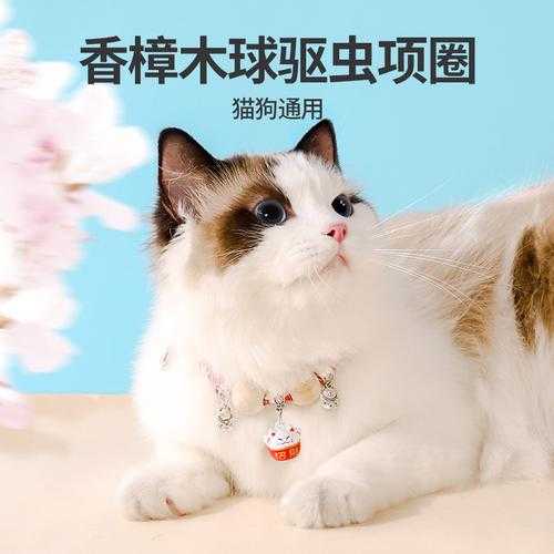 猫除跳蚤项圈对人有毒吗（猫跳蚤圈有用吗）