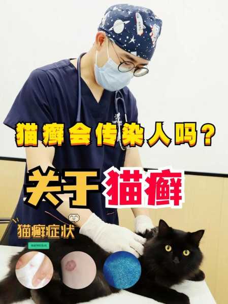 人的感冒会互相传染给猫吗（人的感冒会传染猫吗?）