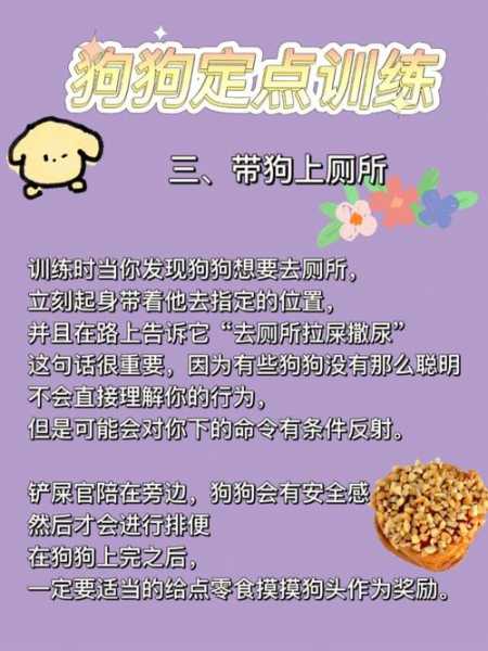 如何训练萨摩耶幼犬大小便（如何训练萨摩耶幼犬大小便视频）