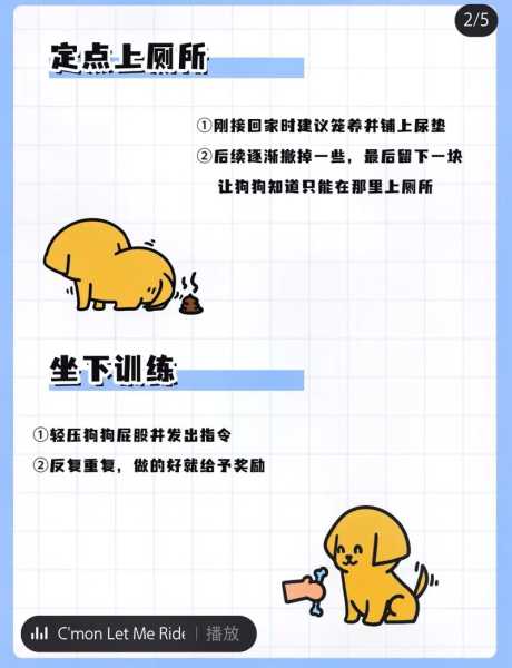 萨摩耶犬如何训练听话（萨摩耶犬怎么训练不乱叫）