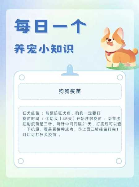 新手饲养金毛幼犬的方法（新手养金毛的注意事项幼犬）