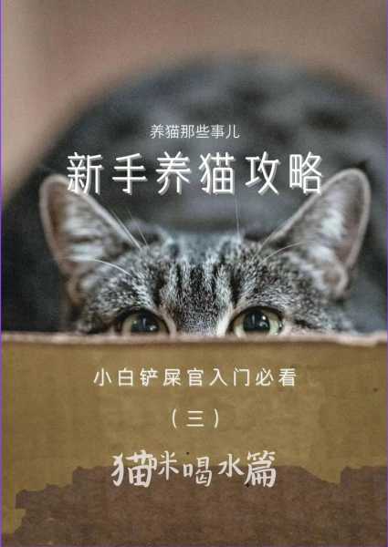 猫不愿意喝水怎么回事（猫不愿意喝水怎么回事呢）