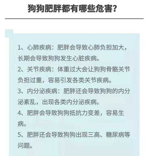 宠物太胖会怎么样（宠物肥胖的危害）