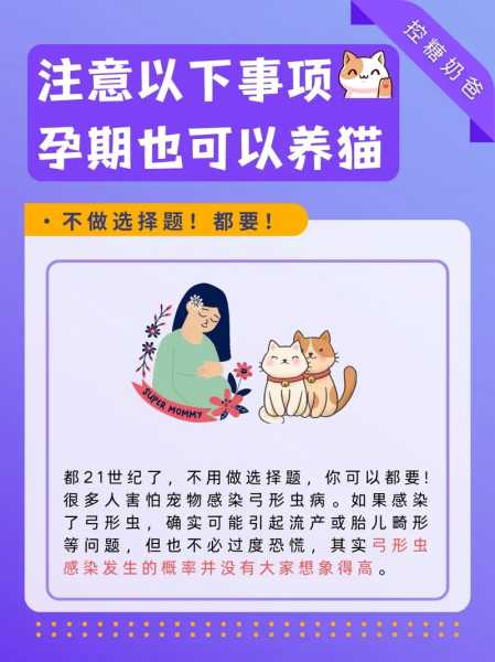 孕妇养猫要注意什么细节（孕妇养猫要注意什么细节问题）