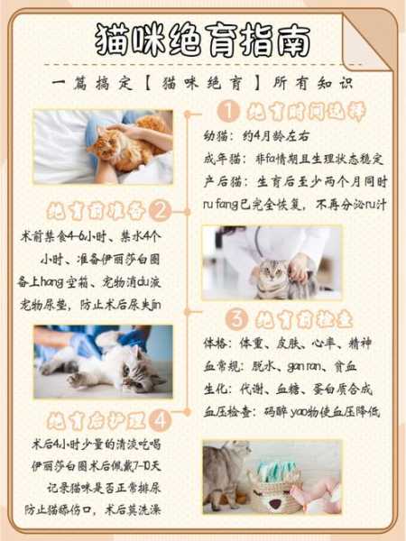 猫咪领养做绝育的原因分析（为什么领养猫要求绝育）