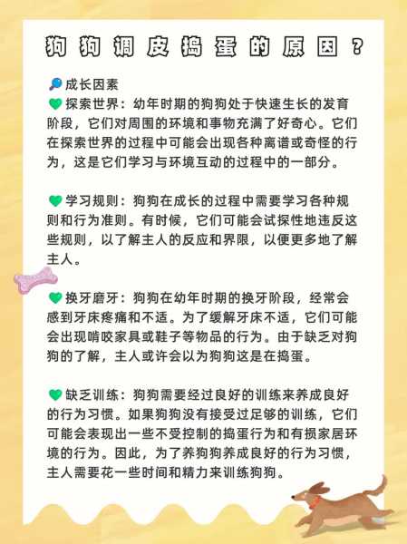 狗狗为什么在家捣乱（狗狗在家总是捣乱怎么办）