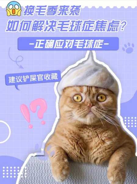 怎样对抗猫咪毛球症病毒感染（治猫咪的毛球症一般需要多少钱）