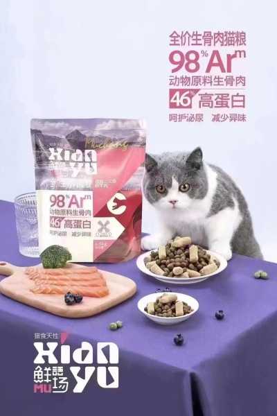 成年狗一天吃多少猫粮（成年狗一天吃多少猫粮最好）