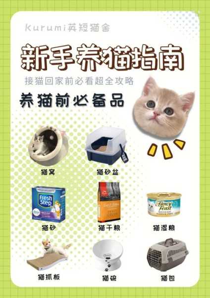 养猫全攻略（养猫攻略app）