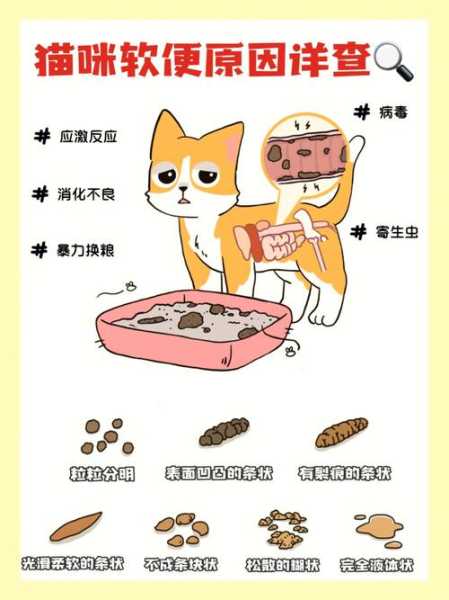 怎样防猫大便（如何防止猫拉屎臭）