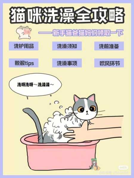 给猫咪洗澡正确方法（给猫猫洗澡怎么洗）