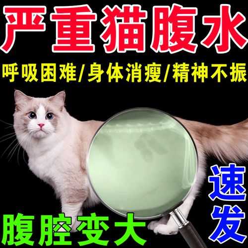 猫传染性腹膜炎百度百科（猫传染性腹膜炎早期症状）