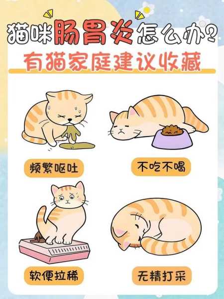 猫咪生病趴姿图解（猫咪肠胃炎在家自救方法）