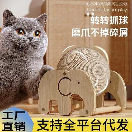 猫老是磨爪子怎么办（猫总是磨爪子怎么办）