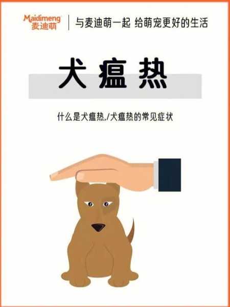 什么是犬瘟热的表现（犬瘟热是什么意思?）