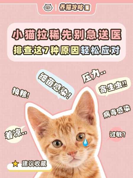 猫咪在拉肚子的时候会叫吗（猫咪在拉肚子的时候会叫吗为什么）