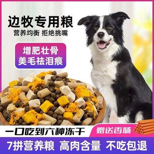 牧羊犬适合吃什么狗粮（牧羊犬主食吃什么）