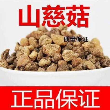 慈姑药用价值（慈菇药用价值）