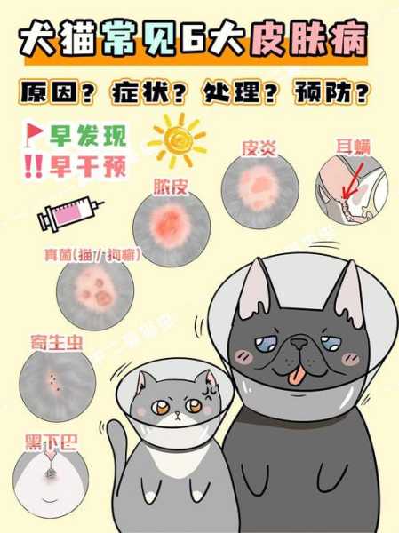 猫狗常见病（猫狗常见病毒和细菌的感染）