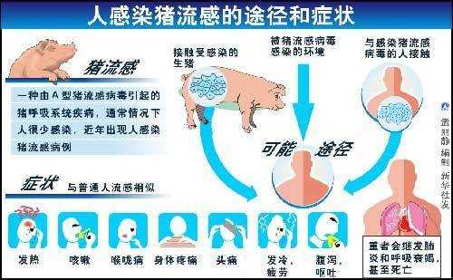 猪流感症状怎么治疗方法（猪流感的症状到底有哪些 能否及时救治）