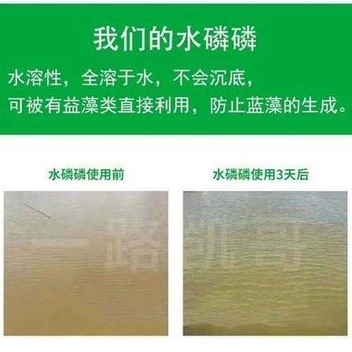 水产养殖补磷（水产养殖补磷方案）