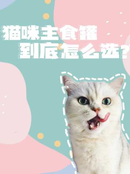 猫体内富含一种什么物质（猫体内的含水量）