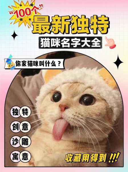 如何训练猫咪记住自己的名字（如何让猫咪记住自己）