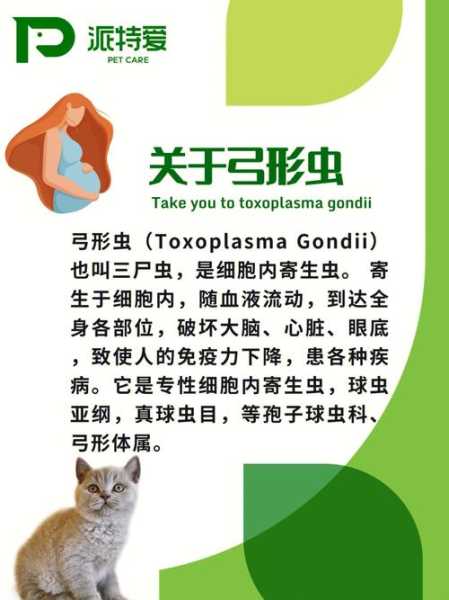 如何预防猫弓形虫病（怎样预防猫弓形虫）