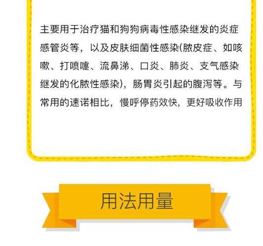 狗狗支气管炎治疗方法有哪些（狗狗支气管炎怎么治疗）