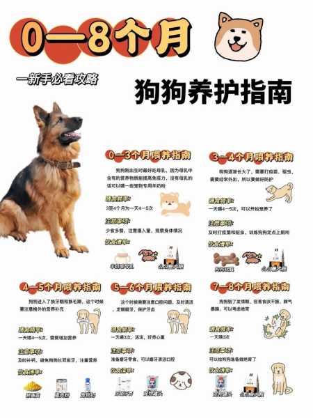 猎犬的饲养方法（猎犬的饲养方法视频）