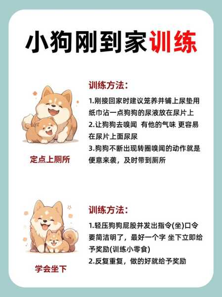 狗狗怎么教训（狗狗怎么教训别的狗）