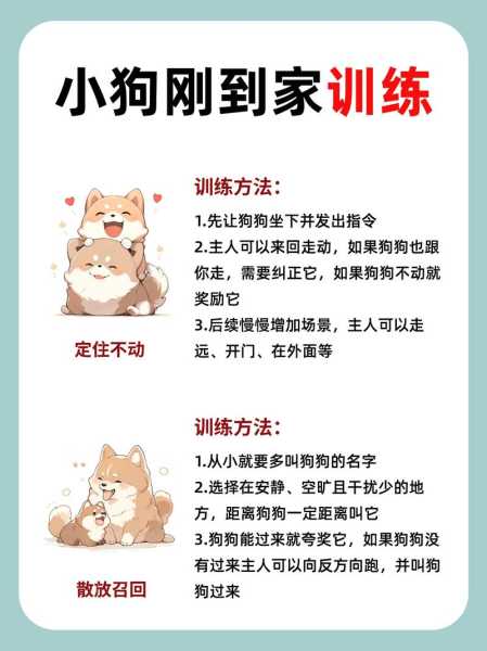 怎样训练秋田犬保护主人（怎么训练秋田犬）