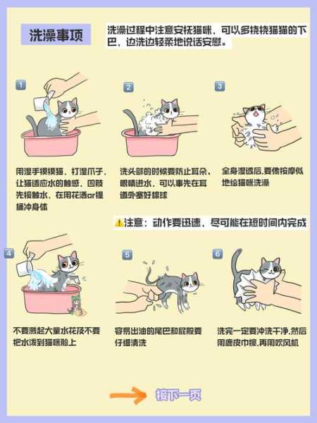 波斯猫怎么洗澡（如何给波斯猫洗澡）