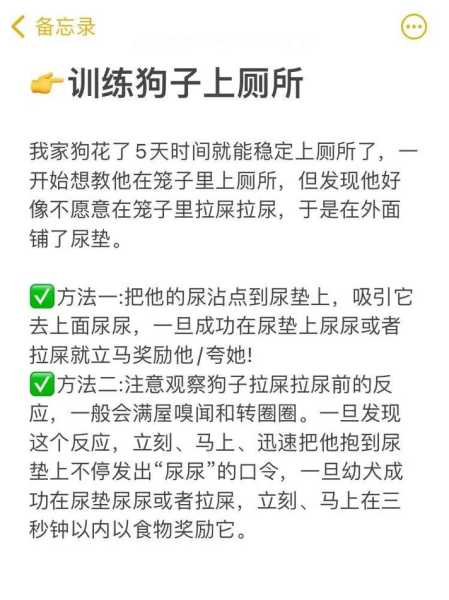 如何训练吉娃娃大小便的方法（如何训练吉娃娃大小便的方法视频）