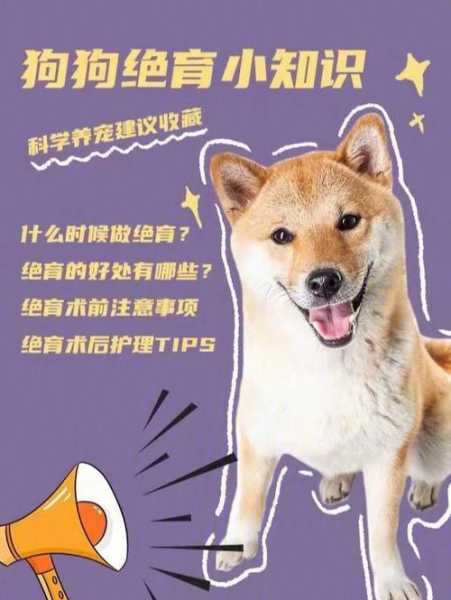 母犬绝育好吗（母犬绝育手术的操作方法）