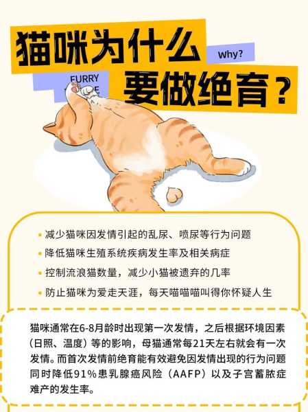 为什么让猫绝育（为什么猫绝育后会发胖）