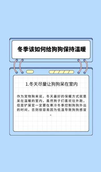 狗怕冷吗以及如何照顾狗狗（狗狗怕冷吗 应该怎么过冬）