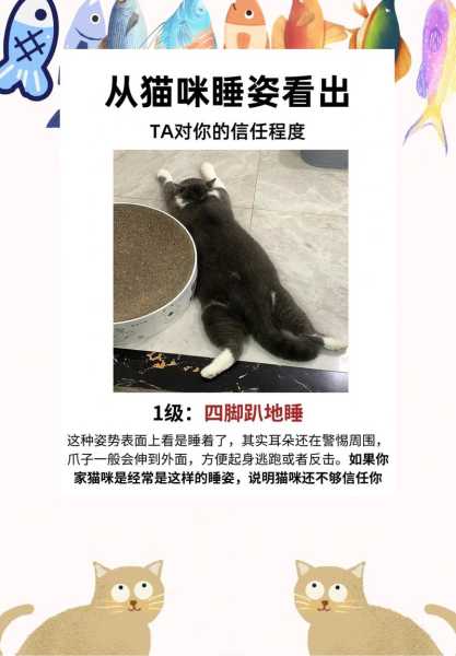 猫不再信任我怎么挽回（猫不信任主人了怎么办）