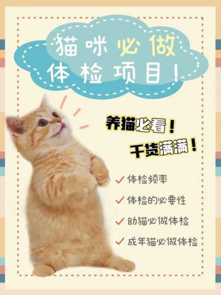 猫进新家做什么体检（猫进新家做什么体检好）