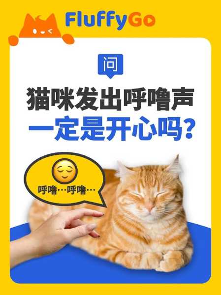 猫咪打呼噜的声音大该怎么办（猫咪打呼噜的声音特别大）